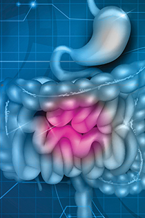 2025 Management of GI Disorders in a Primary Care Setting:  Partnering with our Gastroenterology Colleagues Banner